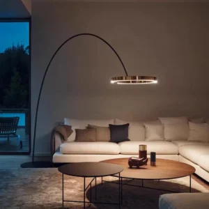 Modern Gold Black Arc Floor Lamp with Ring Light for Living Room