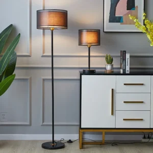Modern Black Metal Arc Floor Lamp with Remote Control for Living Room