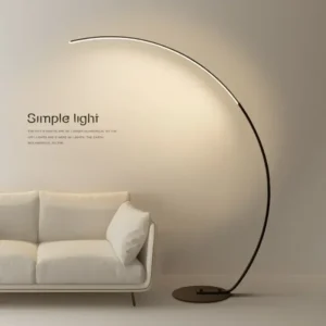 Modern C-Shape RGB Arc Floor Lamp with Remote Dimmer for Living Room